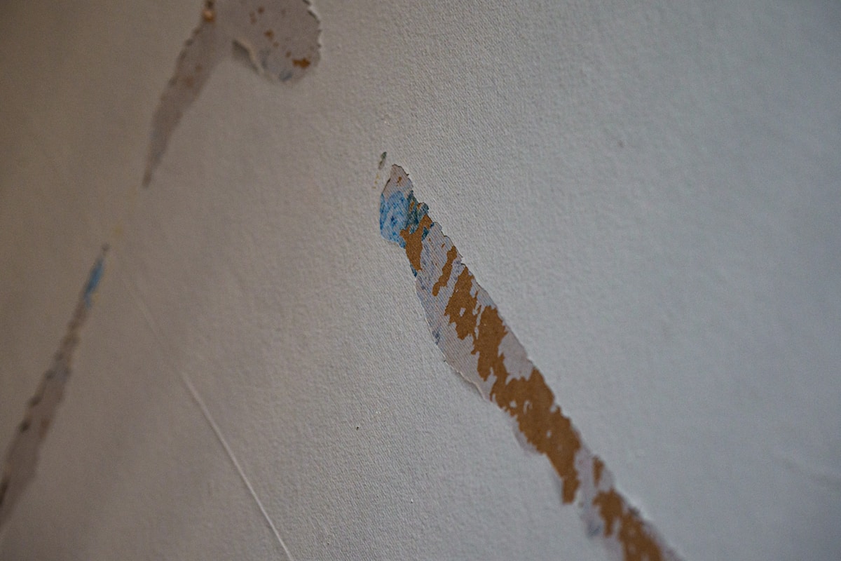 Basement Water Removal service in Pompano Beach, FL